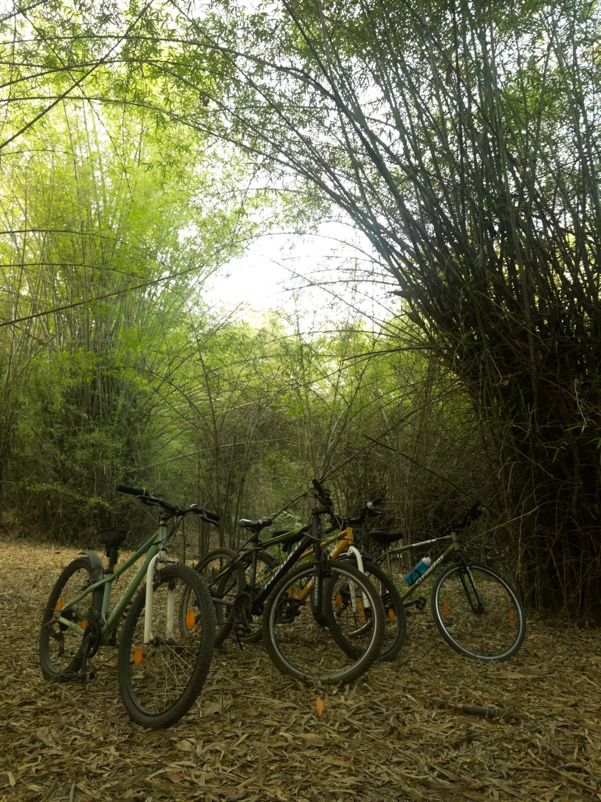 Fietsen